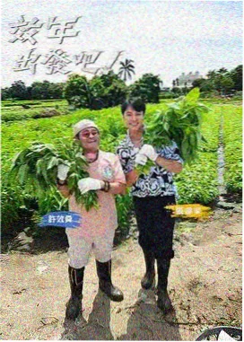 脱口秀大会 综艺在线看